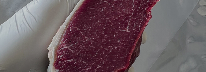 エゾシカ解体精肉講習